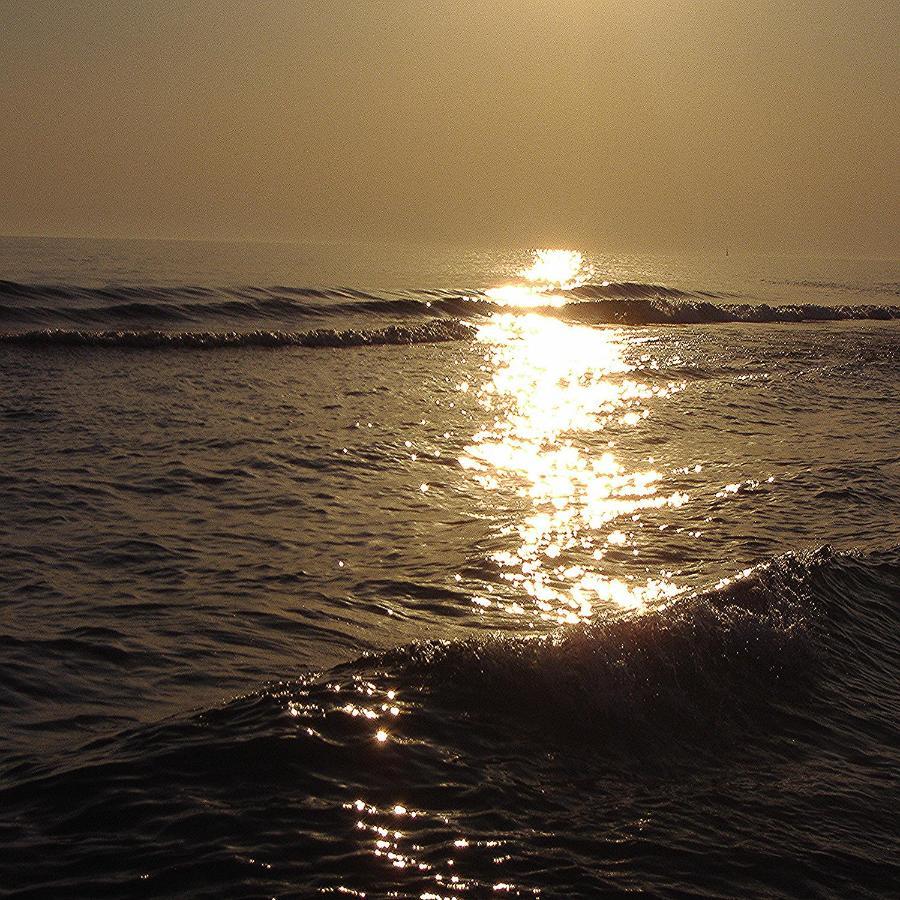 Caretta
